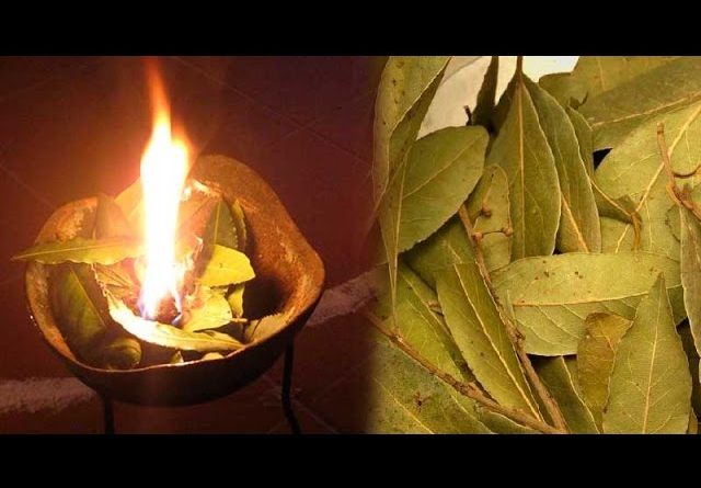 Burn some bay leaves in your house and this will happen in just 10 minutes. Amazing